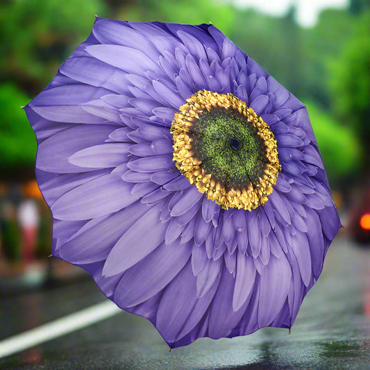 Lavender Daisy Stick Umbrella RC