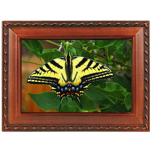 Swallowtail Butterfly Music Box - No Personalization