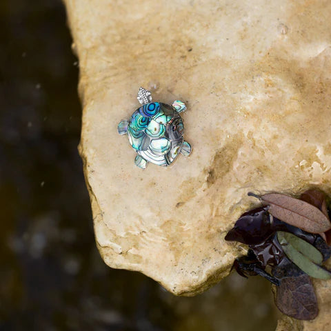 Turtle made of paua shell sitting on a rock