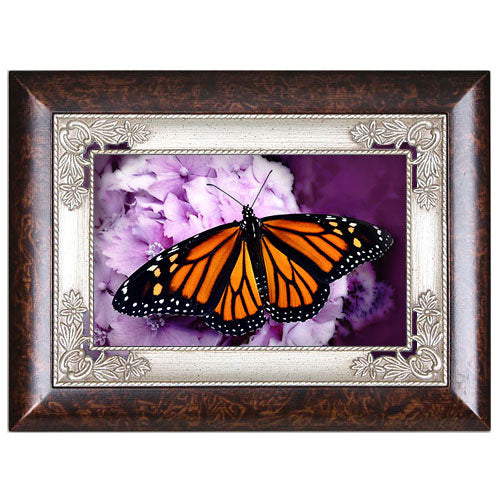 Monarch Butterfly Music Box - Burl