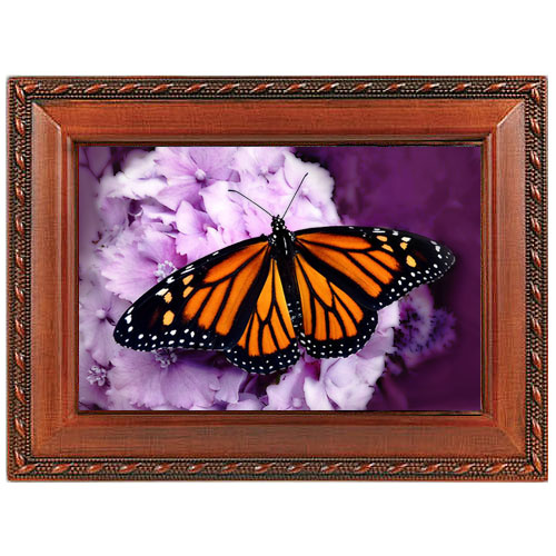 Monarch Butterfly Music Box