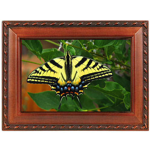Swallowtail Butterfly Music Box - No Personalization 